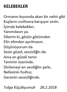 Kelebekler şiir 28 2 2018